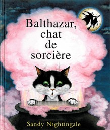 Balthazar chat de sorcière